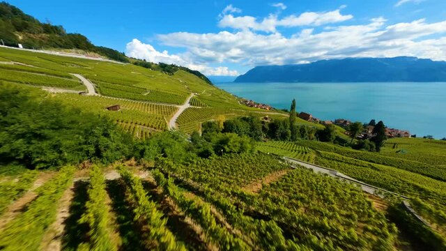 FPV Drone Shot Of Lavaux Vineyard Terraces Near Village Of Epesses In Vaud, Switzerland. aerial