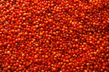Lentils on the table. This legume contains a lot of vegetable protein