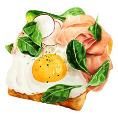 Watercolor Egg Sandwich Illustration