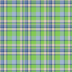Plaid seamless pattern. Vector background of textile ornament. Flat fabric design.