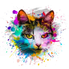 Fotobehang kleurrijke artistieke kattensnuit met heldere verfspetters op witte achtergrond. © reznik_val