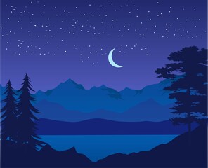 Fototapeta premium night landscape with moon