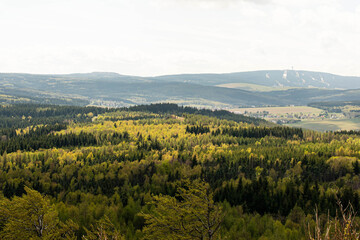 Fototapeta na wymiar Beautiful spring landscape with forest and mountains