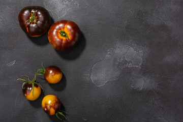 Yellow  anthocyanin tomatoes (Solanum lycopersicum fruits) atop dark backldrop, copy space, top view
