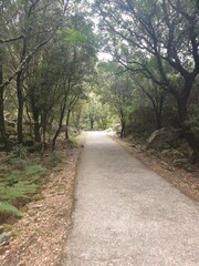 path in the park