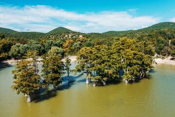 Cypress Lake Sukko aerial view with green trees standing in lake water in Anapa mountains, Russia.