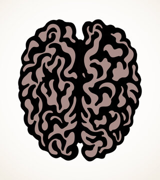 Brain. Vector drawing icon sign