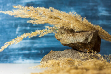 A stylish background for advertising products with fluffy dry stems and stones. Stylish appearance, layout, personality. Banner, a place for the text.