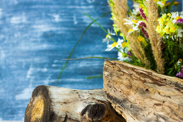 dry stump, tree bark and fluffy stems on a colored background. Stylish appearance, layout, personality. Banner, a place for the text