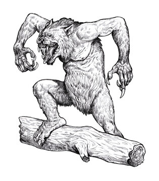 recommend clip art: Werewolf roaring drawing. Fantasy monster illustration. Halloween template.	