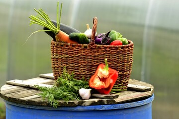 Vegetable autumn still life (harvest)
