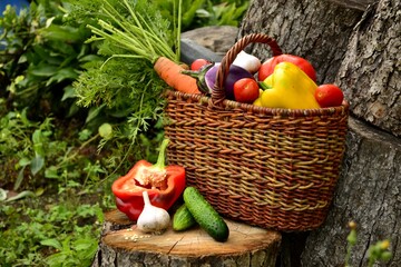 Vegetable autumn still life (harvest)