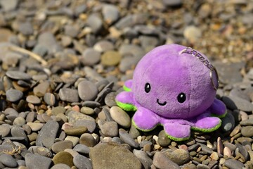 Bright octopus on sea pebbles