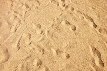 Sand nature texture in summer beach as background