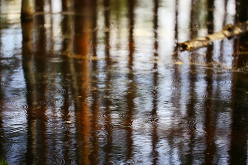 Obraz na płótnie Canvas rain puddle circles, aqua abstract background, texture autumn water