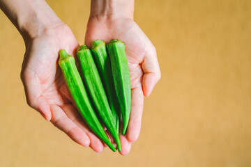 オクラを持つ女性の手元　新鮮野菜