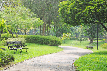green tree and walkway public park