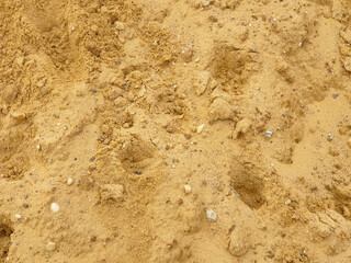 Yellow sand background