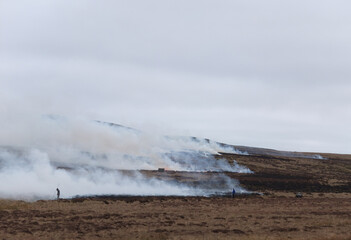 Heather management on a Northumberland grouse moor.