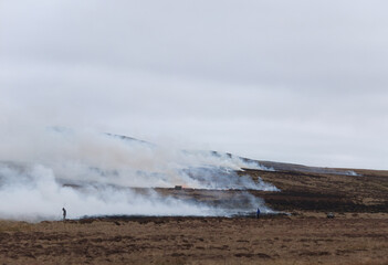 Heather management on a Northumberland grouse moor.