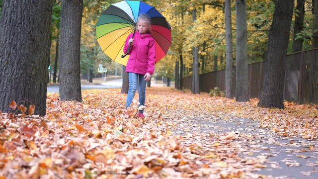 Little girl walking with rainbow umbrella autumn fallen golden orange maple leaves in park.