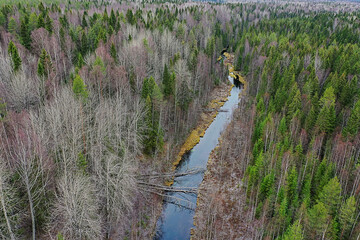 river autumn view from drone forest, landscape panorama aerial view