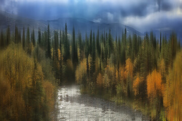 Obraz premium forest in the mountains landscape beautiful green nature summer background forest