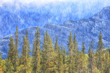 autumn landscape nature rain drops weather wet outdoor landscape view autumn weather