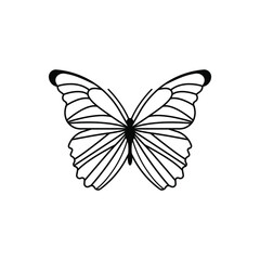 Butterfly vector icon. insect illustration sign. moth symbol.