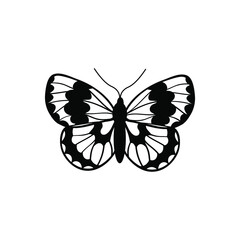 Butterfly vector icon. insect illustration sign. moth symbol.