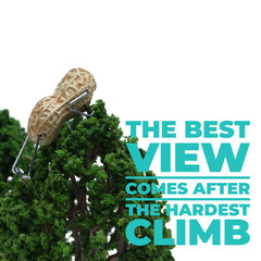 Inspirational image, the best view comes after the hardest climb.