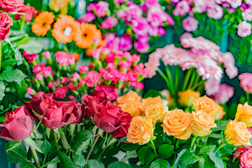 Fresh cut flowers in a florists
