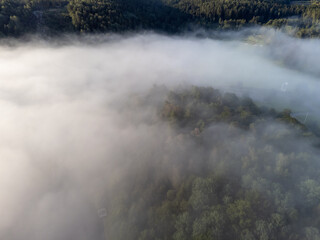 Misty morning in August. Deciduous trees seen from above, aerial, bird's eye view. Nature...