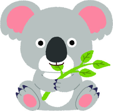 コアラ の画像 62 056 件の Stock 写真 ベクターおよびビデオ Adobe Stock