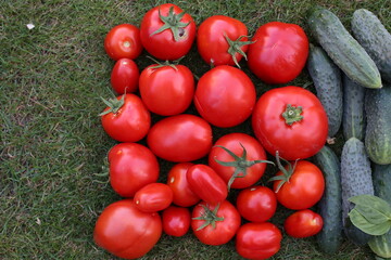 Lithuanian colours and autumn harvest vegetables. YELLOW RED Tomateos