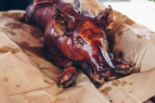 Head shot of the newly delivered and opened crispy Lechon AKA slowly roasted whole pig. Copy space.
