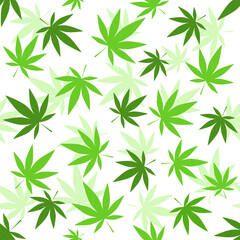 Fototapeta na wymiar Cannabis leaf seamless pattern on white background.