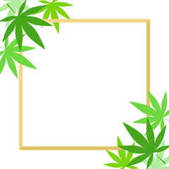 Cannabis leaf with gold frame background.
