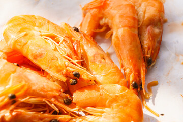 Fresh red prawn or tiger shrimps