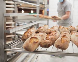 baker at work in the bakery, placing freshly baked breads on a rack trolley