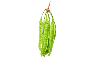 Foto op Canvas Petai or bitter bean or stink bean on white isolated background   © Danykur