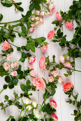 Pink roses on a light wooden background.