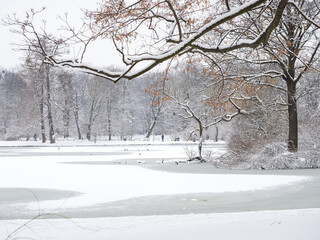 frozen lake in city park in a winter season after snowfall