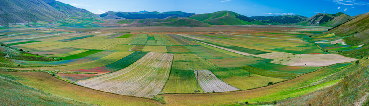 Castelluccio di Norcia highlands, Italy, blooming cultivated fields, tourist famous colourful flowering plain in the Apennines. Agriculture of lentil crops and red poppies.