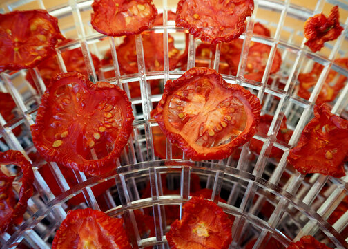 close red dried tomatoes are lying in a dehydrator . top view