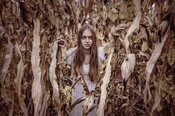 Scary Ghost teen girl in white dress in cornfield. Holiday event halloween concept. - 456678685