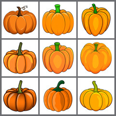 Pumpkin icon set for autumn. Halloween cartoon orange vegetable design. Vector illustration isolated on white background.