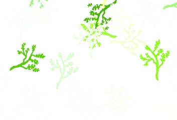 Light Green vector elegant wallpaper with sakura.