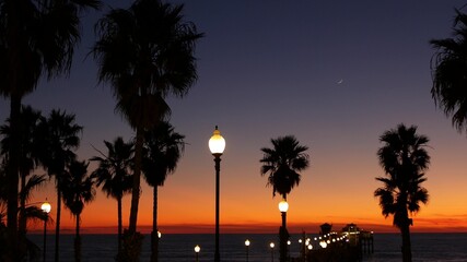Palms silhouette on twilight sky, California USA, Oceanside pier. Dusk gloaming nightfall...
