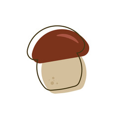 Flat brown boletus mushroom with line